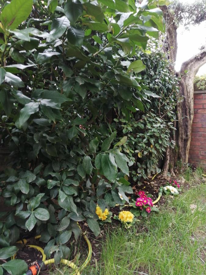 Casa Nonnanna - Nonnanna Home Viareggio Exterior foto